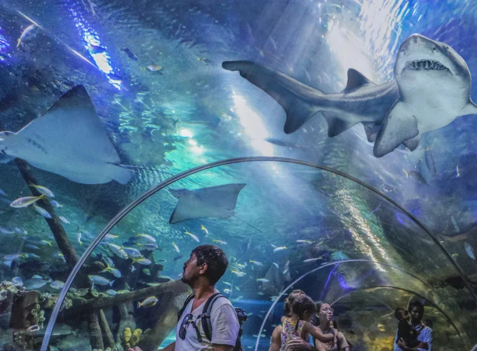 Aquaria KLCC (Weekday)