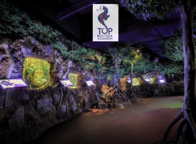 The Top Boutique Aquarium GoTraz