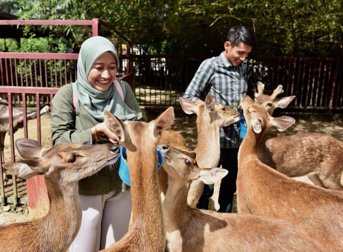 Langkawi Wildlife Park