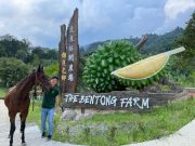 The Bentong Farm (Malaysian)